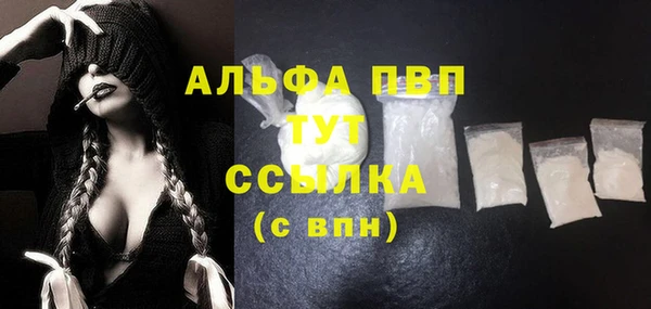 мдпв Карпинск