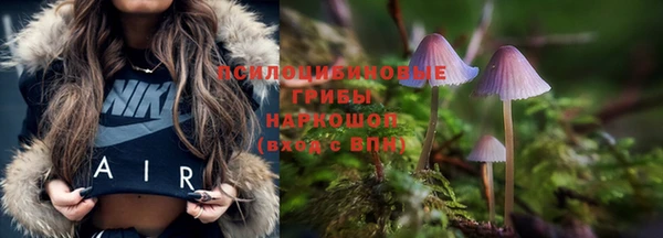 бутират Бугульма