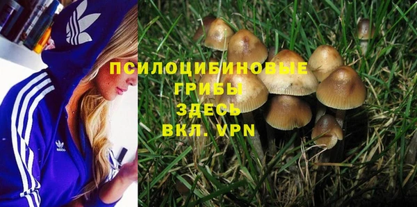 крисы Бородино
