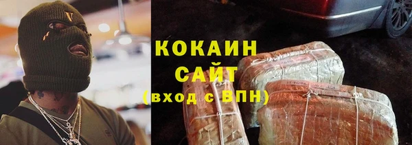 крисы Бородино