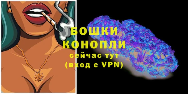 бошки Бронницы