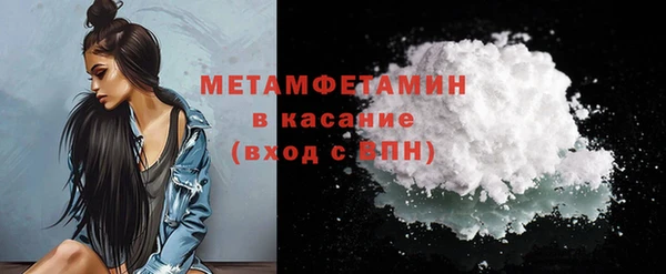 крисы Бородино