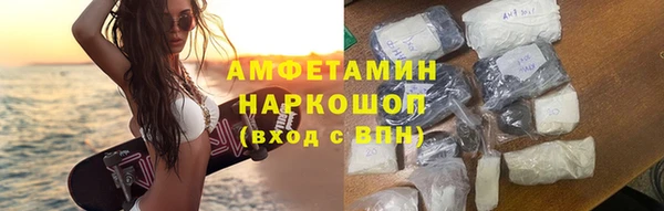 крисы Бородино