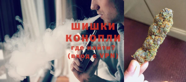 крисы Бородино