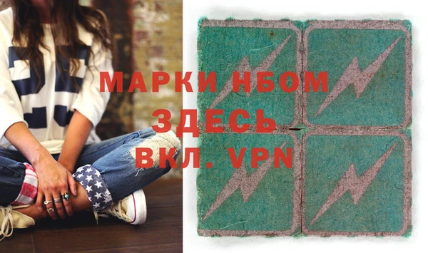 крисы Бородино