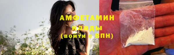 крисы Бородино