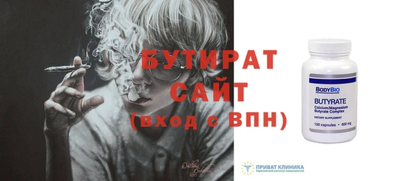крисы Бородино