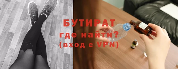 крисы Бородино
