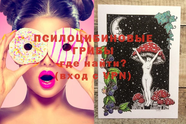 бошки Бронницы