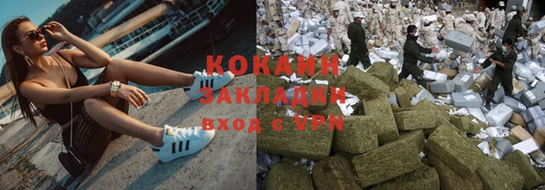 бошки Бронницы