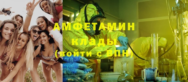 крисы Бородино
