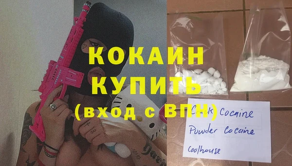 крисы Бородино