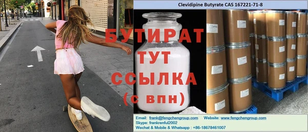 крисы Бородино