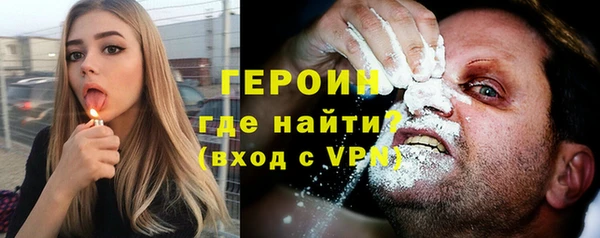 крисы Бородино
