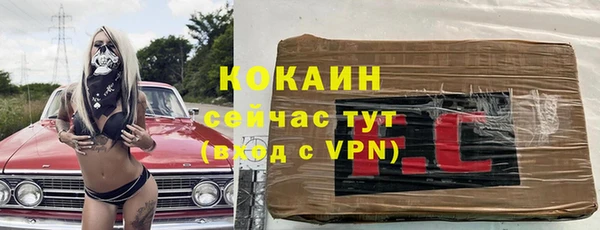 бошки Бронницы