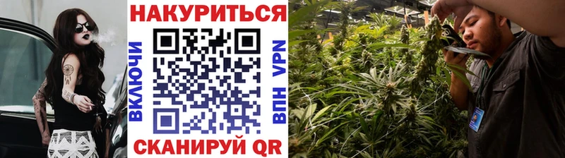 Канабис планчик  Новомичуринск 